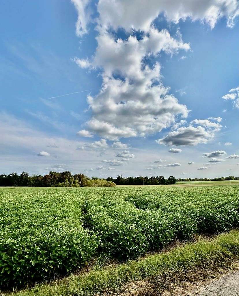 13 Acres of Land for Sale in Elkton, Kentucky