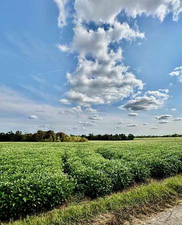 13 Acres of Land for Sale in Elkton, Kentucky