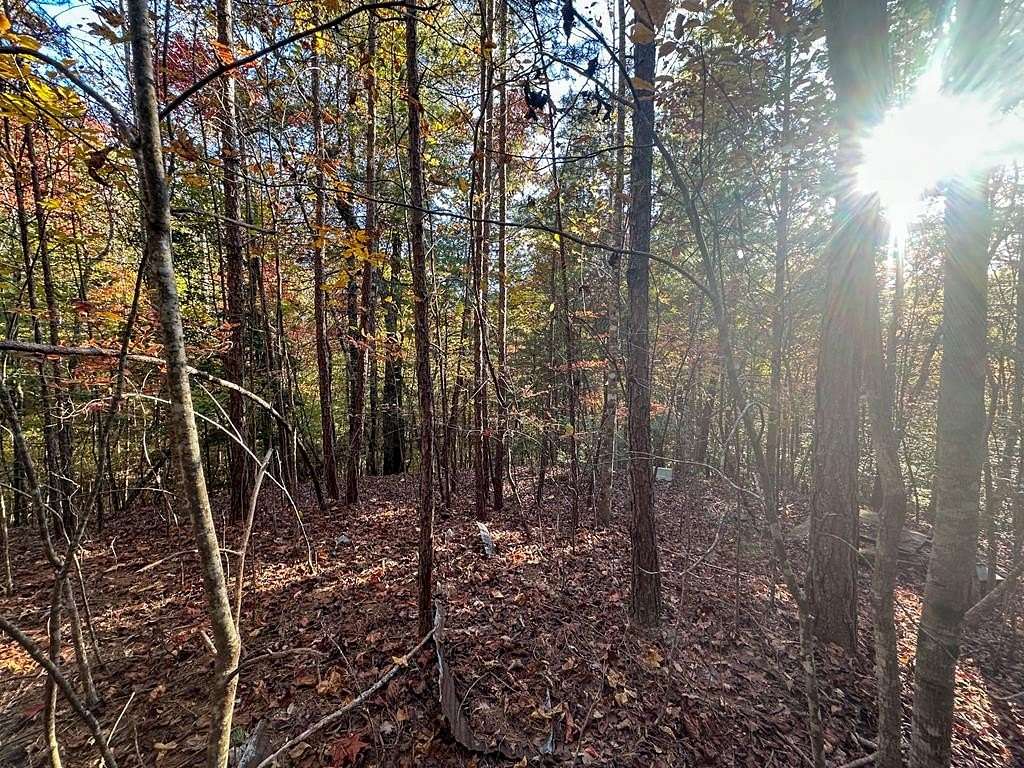 1.66 Acres of Residential Land for Sale in Murphy, North Carolina