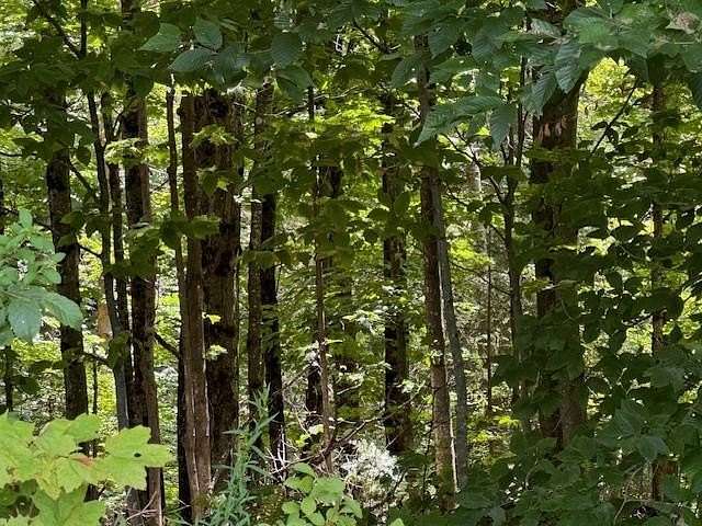 32 Acres of Land for Sale in Albany, Vermont