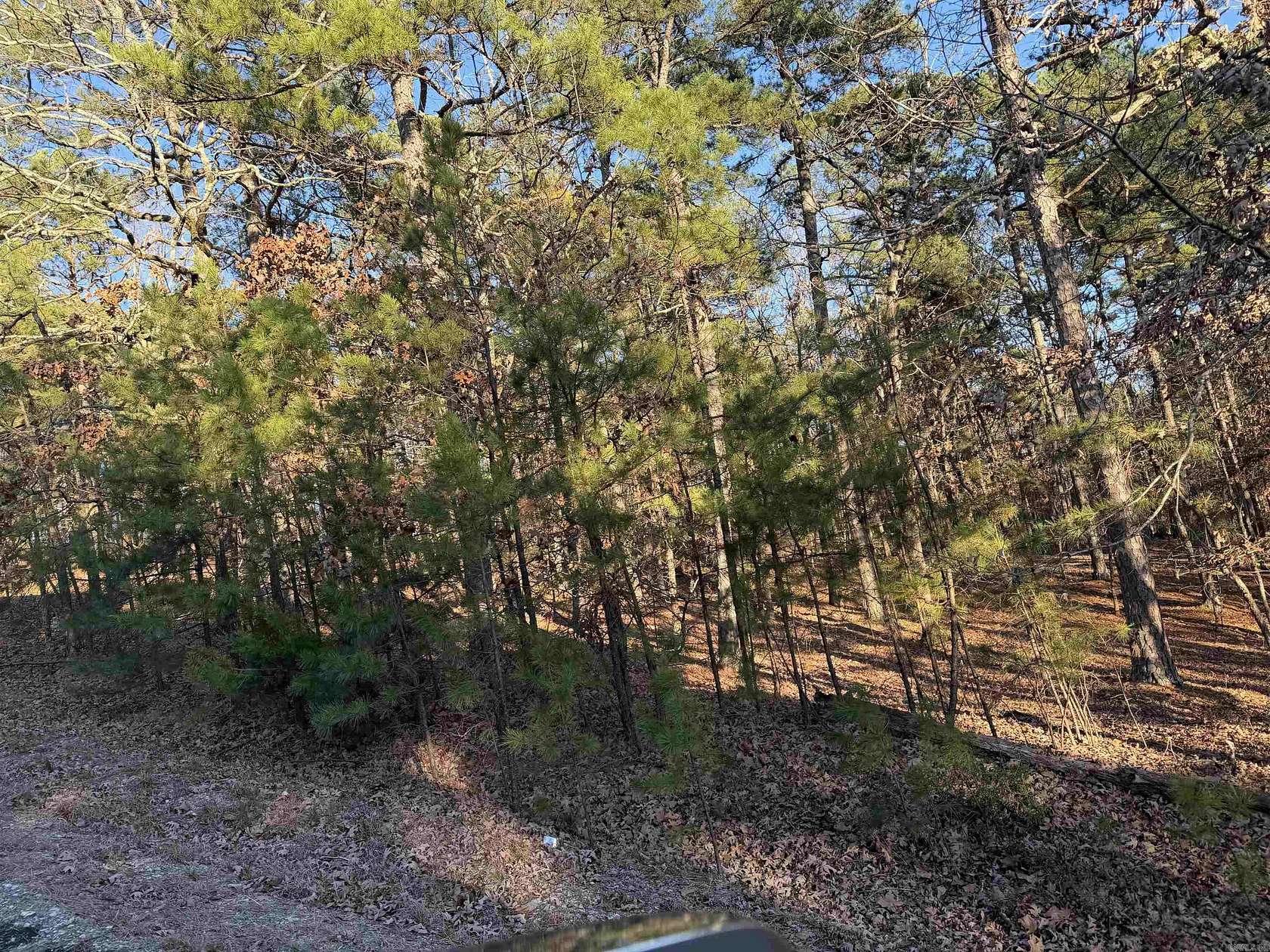 0.25 Acres of Residential Land for Sale in Hot Springs Village, Arkansas