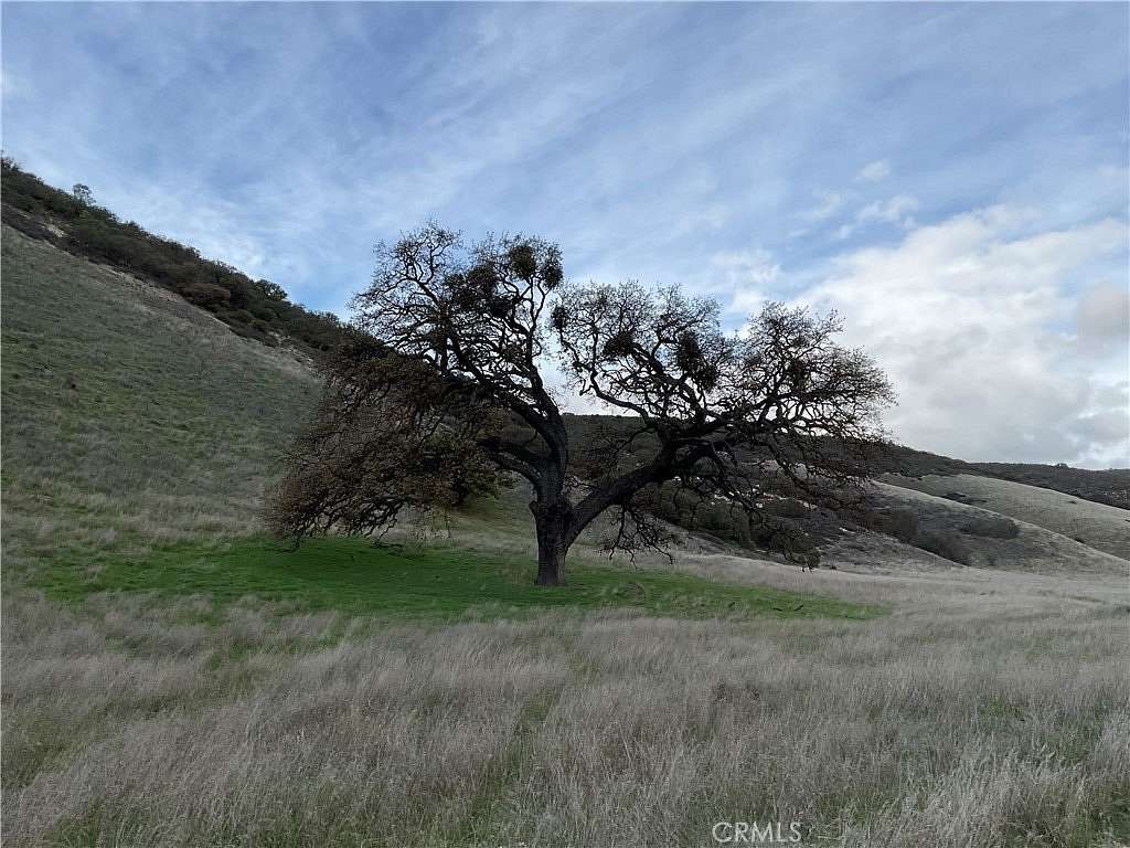 162 Acres of Land for Sale in Lockwood, California
