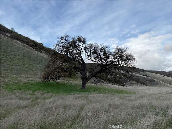 162 Acres of Land for Sale in Lockwood, California