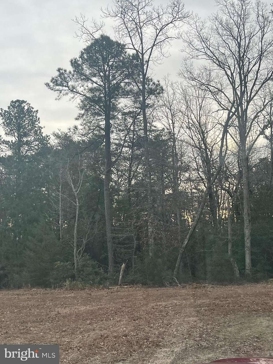 72.8 Acres of Recreational Land for Sale in Great Mills, Maryland