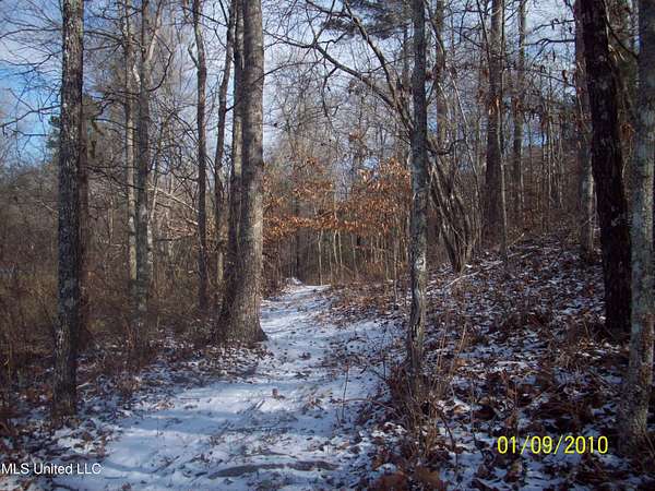 25 Acres of Recreational Land for Sale in Oxford, Mississippi