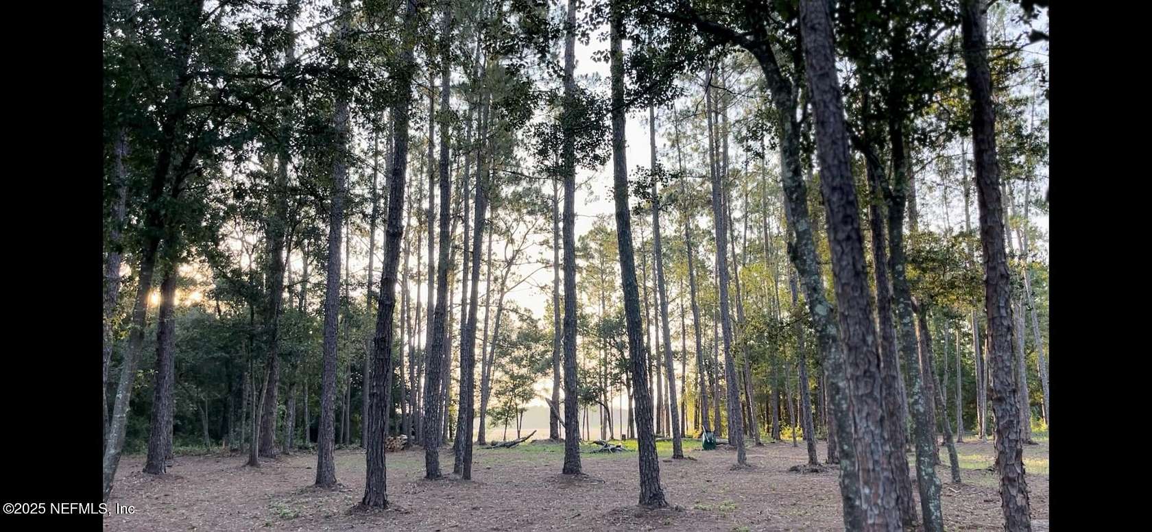 1 Acre of Residential Land for Sale in Keystone Heights, Florida