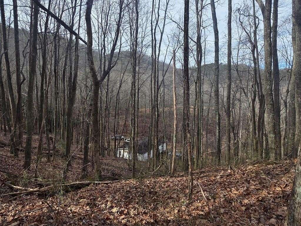 29 Acres of Recreational Land with Home for Sale in Turtletown, Tennessee