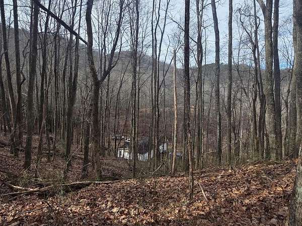 29 Acres of Recreational Land with Home for Sale in Turtletown, Tennessee