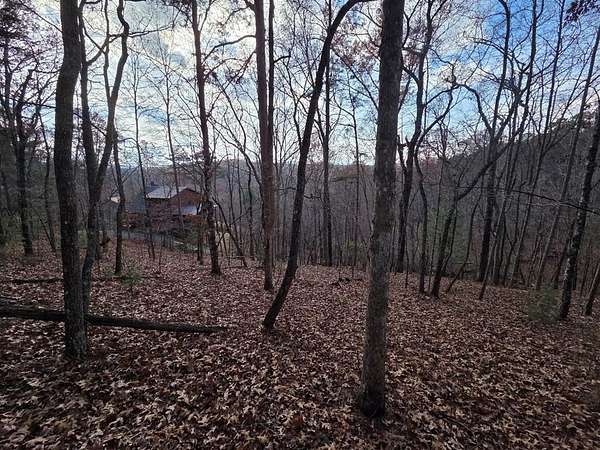 0.83 Acres of Residential Land for Sale in Mineral Bluff, Georgia