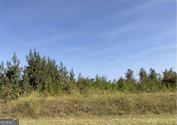 6 Acres of Residential Land for Sale in Toomsboro, Georgia