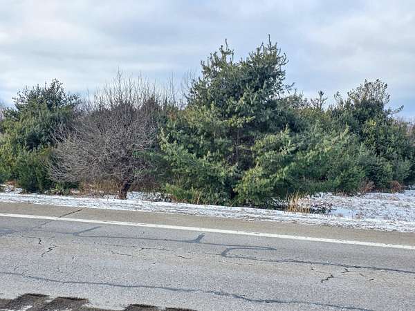 2 Acres of Land for Sale in Ocqueoc, Michigan