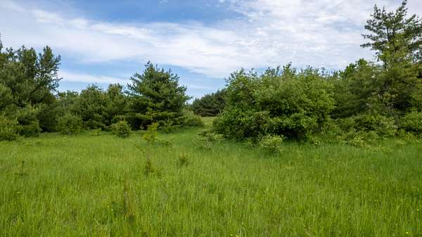 2 Acres of Land for Sale in Ocqueoc, Michigan
