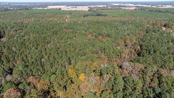 40 Acres of Land for Sale in Pelahatchie, Mississippi