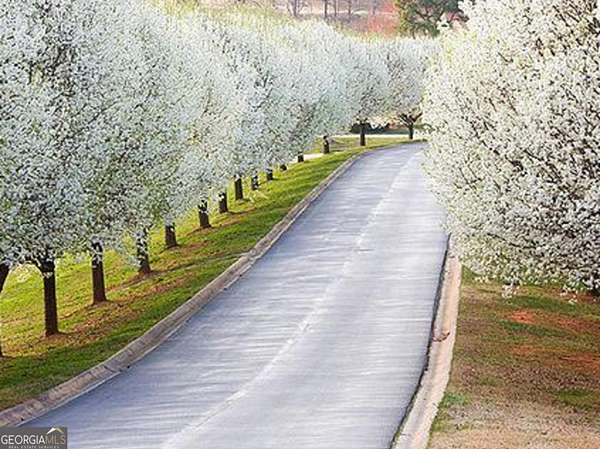 1 Acre of Residential Land for Sale in Clarkesville, Georgia