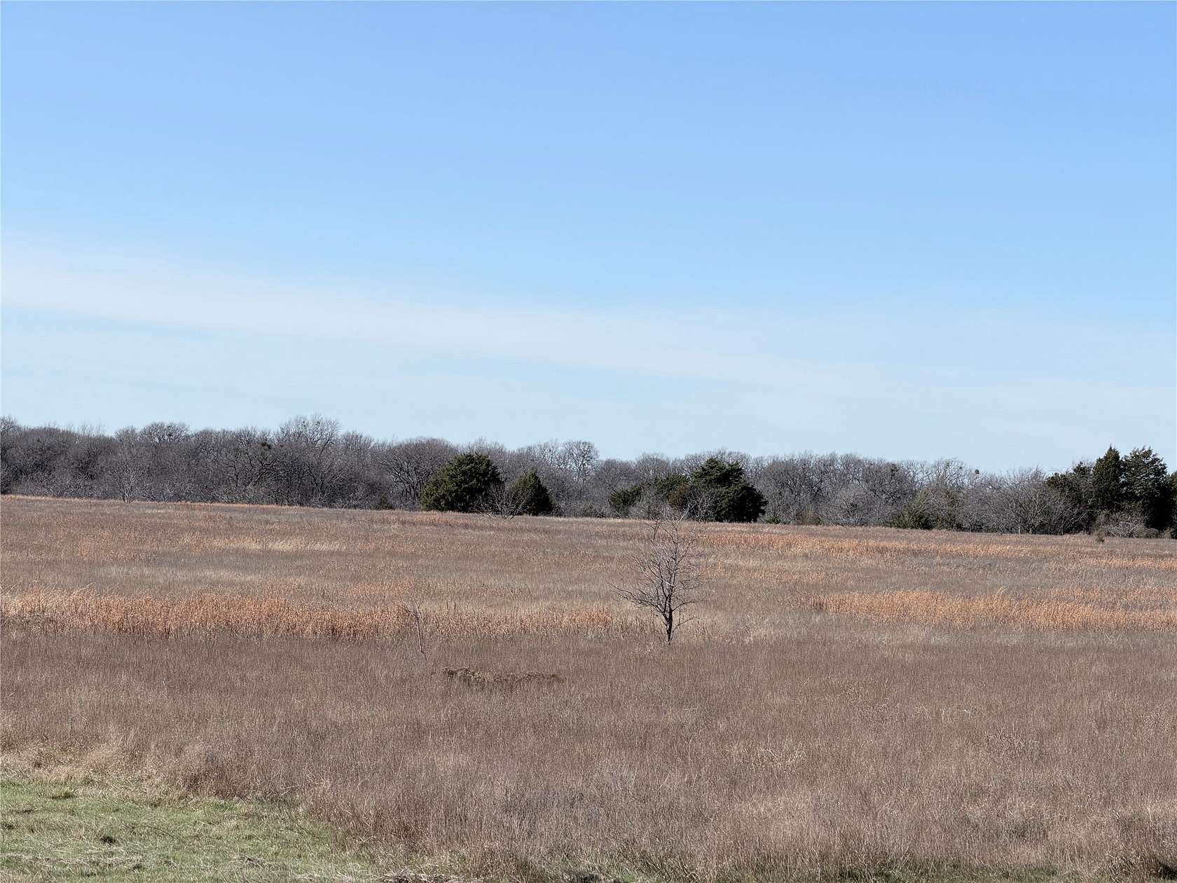 40.1 Acres of Land for Sale in Kerens, Texas