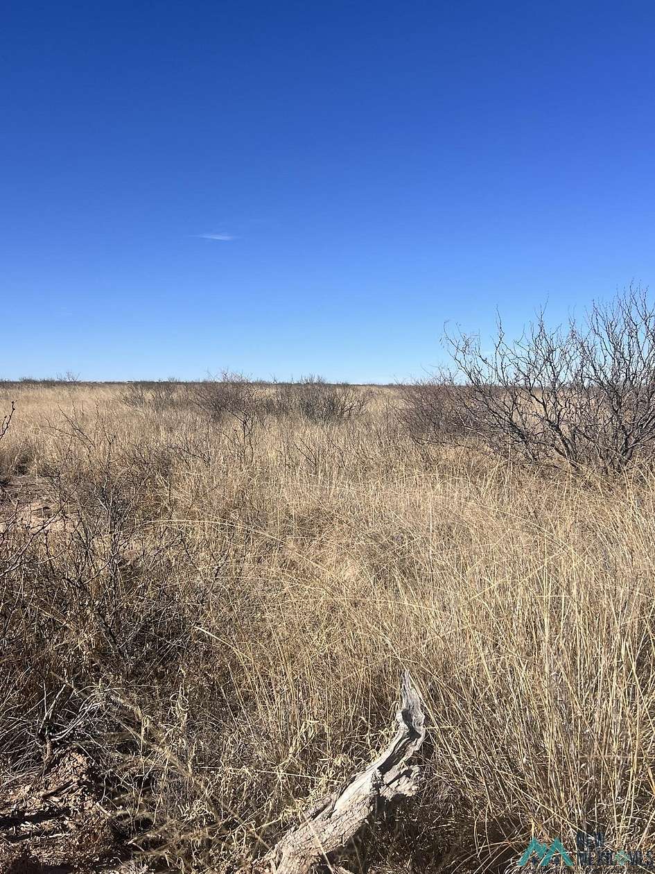 61.2 Acres of Land for Sale in Lake Arthur, New Mexico