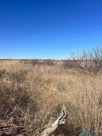 61.2 Acres of Land for Sale in Lake Arthur, New Mexico
