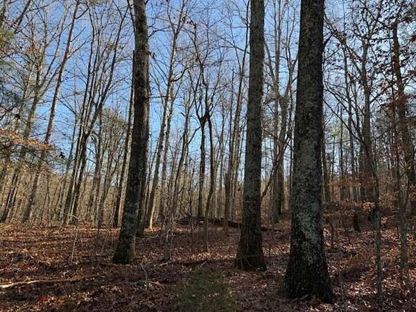 4.85 Acres of Recreational Land for Sale in Valley Head, Alabama