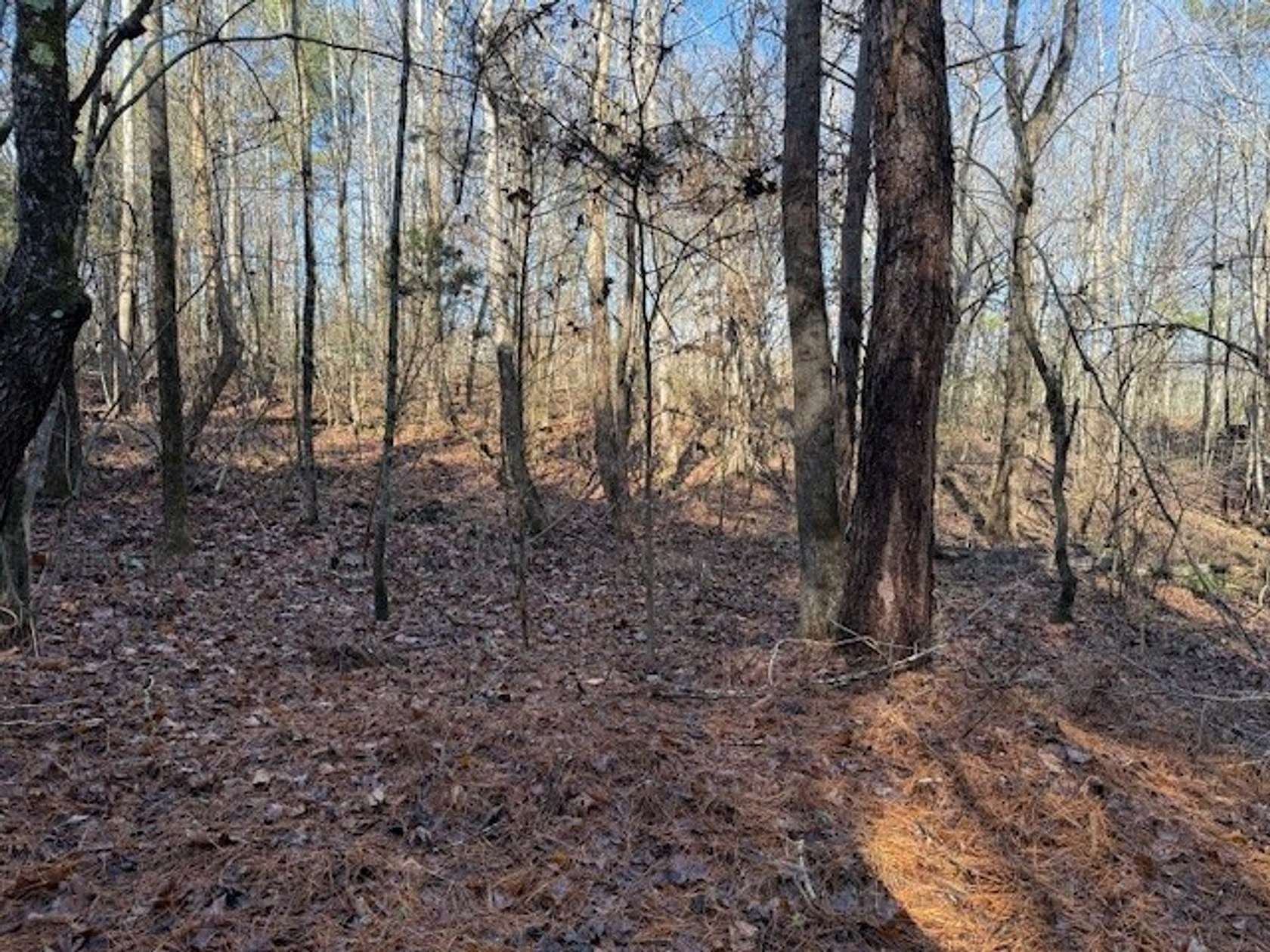 5.12 Acres of Recreational Land for Sale in Valley Head, Alabama