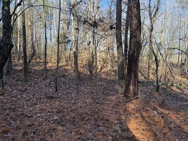 5.12 Acres of Recreational Land for Sale in Valley Head, Alabama