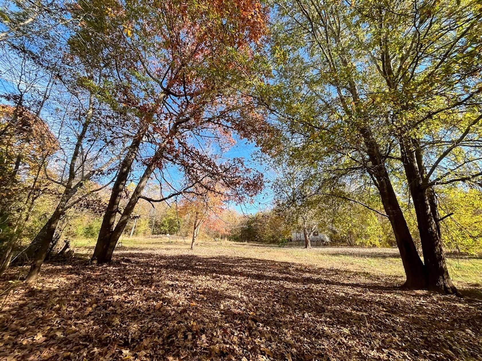 8.66 Acres of Land for Sale in Ruffin, North Carolina