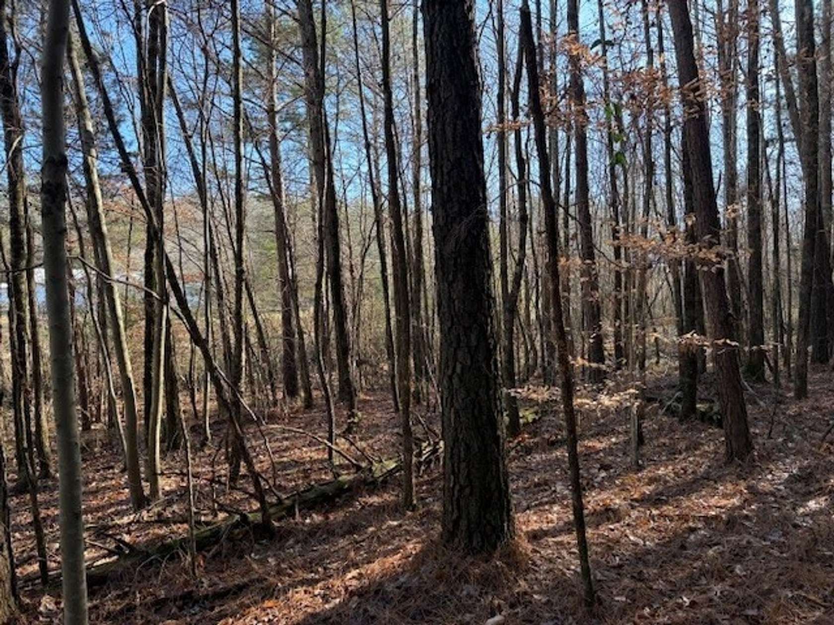 3.28 Acres of Recreational Land for Sale in Valley Head, Alabama