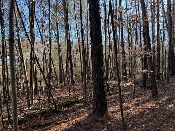 3.28 Acres of Recreational Land for Sale in Valley Head, Alabama