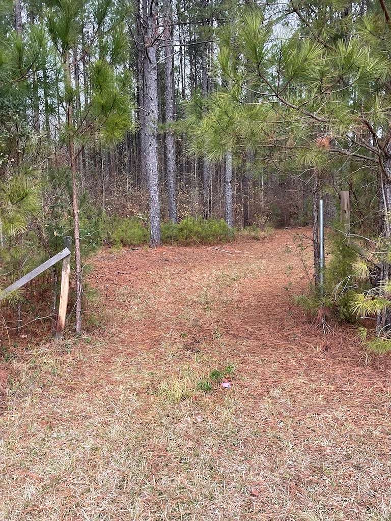 25 Acres of Recreational Land for Sale in Thomaston, Georgia