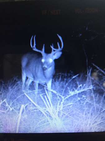 134 Acres of Recreational Land for Sale in Marion, Alabama