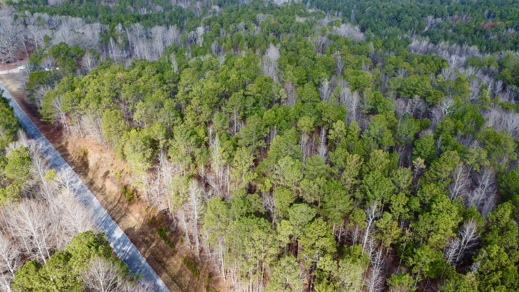 7.5 Acres of Land for Sale in Cragford, Alabama