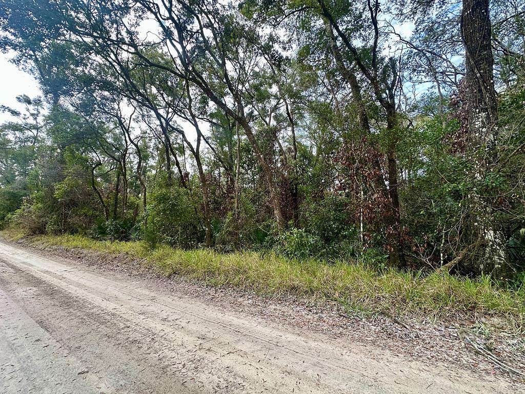 0.39 Acres of Land for Sale in Fanning Springs, Florida