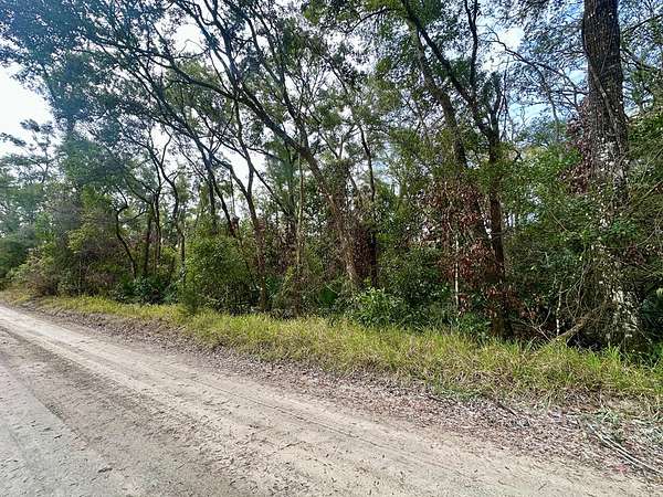 0.39 Acres of Land for Sale in Fanning Springs, Florida
