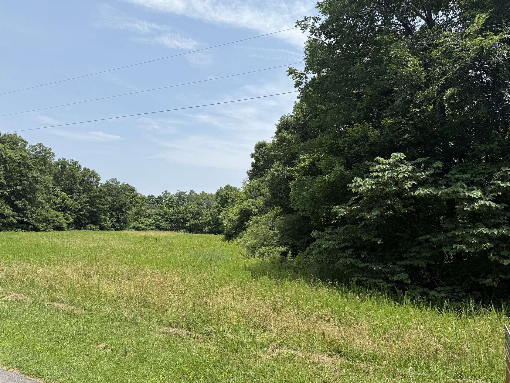 80 Acres of Land for Sale in Charlotte, Tennessee