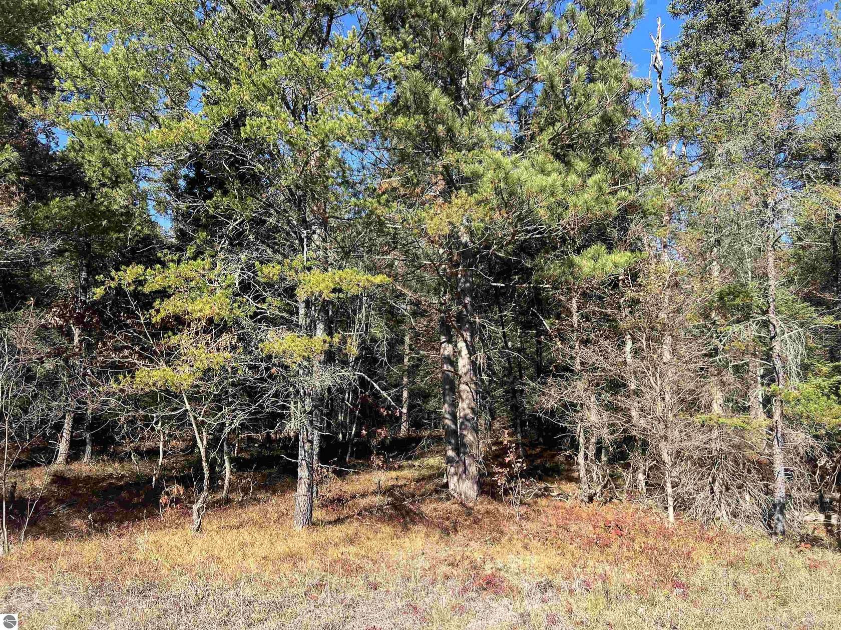 0.21 Acres of Land for Sale in Grayling, Michigan