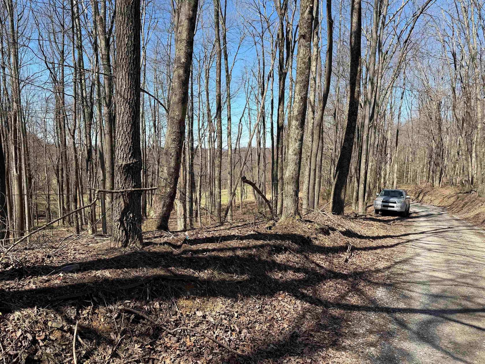 14.2 Acres of Recreational Land for Sale in Volga, West Virginia