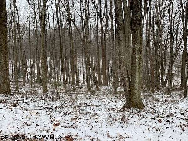 14.2 Acres of Recreational Land for Sale in Volga, West Virginia