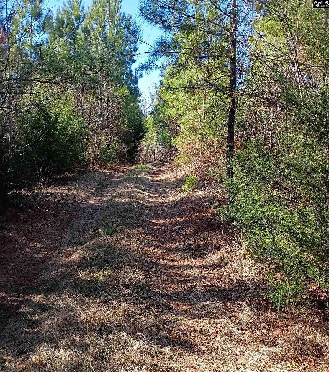 36.6 Acres of Recreational Land for Sale in Camden, South Carolina