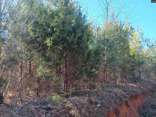 36.6 Acres of Recreational & Residential Land for Sale in Camden, South Carolina