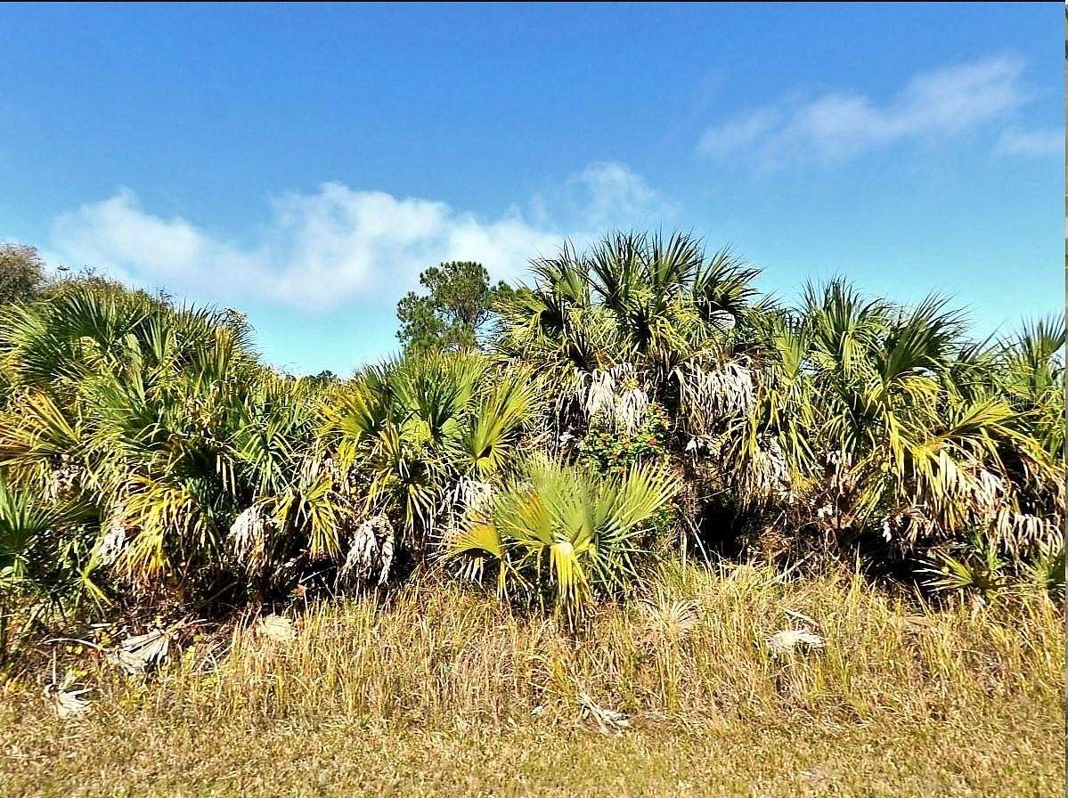 0.23 Acres of Residential Land for Sale in North Port, Florida