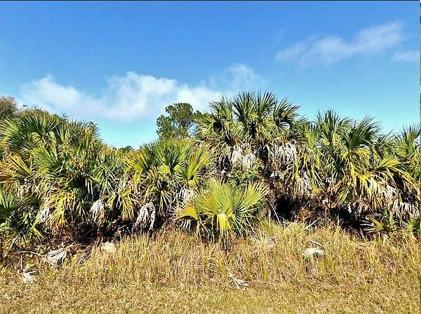 0.23 Acres of Residential Land for Sale in North Port, Florida