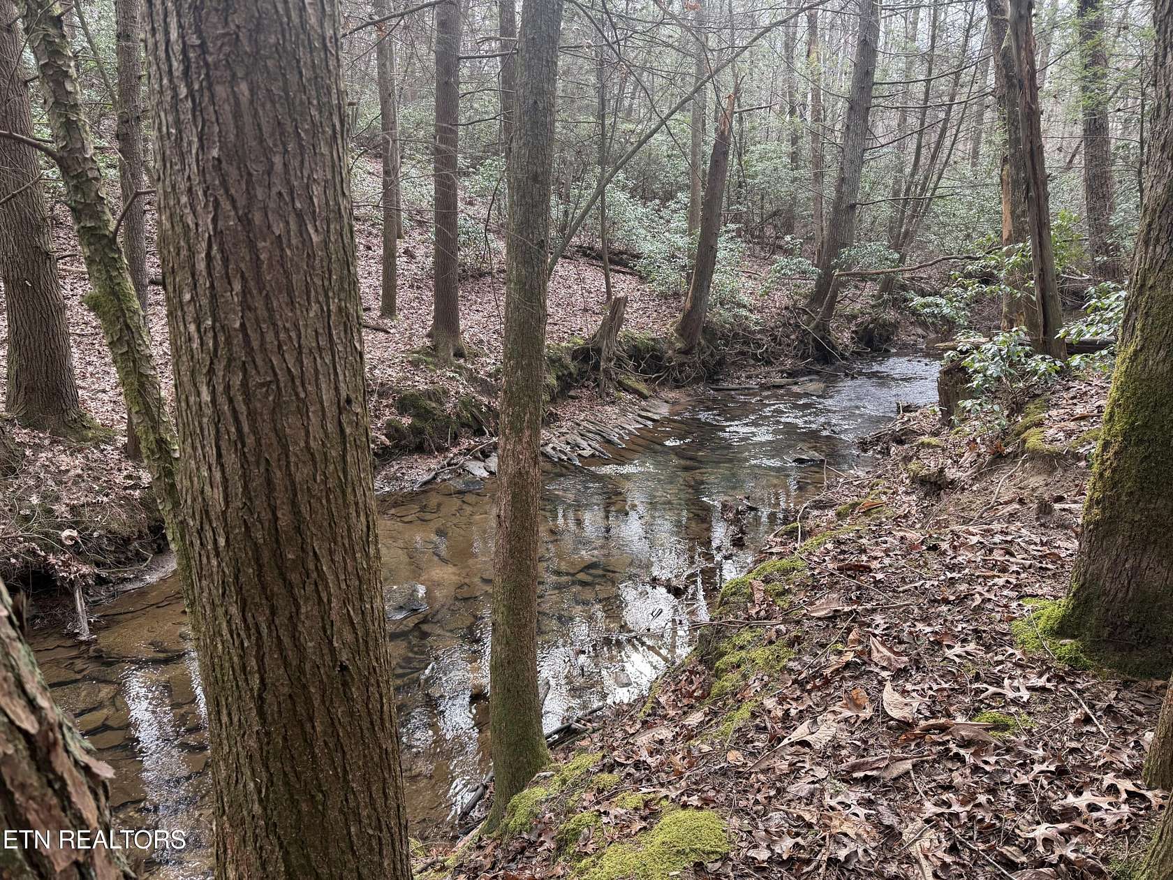 4 Acres of Residential Land for Sale in Monterey, Tennessee