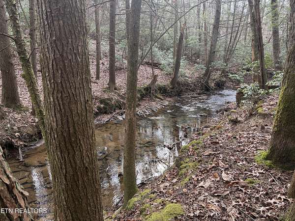 4 Acres of Residential Land for Sale in Monterey, Tennessee