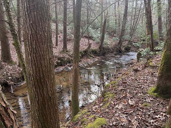 4 Acres of Residential Land for Sale in Monterey, Tennessee