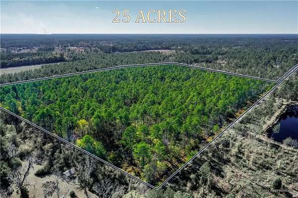 25 Acres of Recreational & Residential Land for Sale in Waycross, Georgia