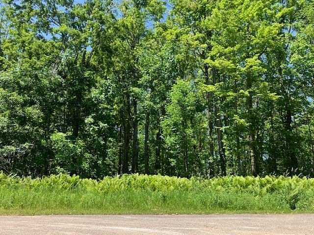 2 Acres of Residential Land for Sale in Alanson, Michigan
