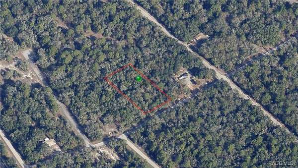 1.16 Acres of Residential Land for Auction in Crystal River, Florida