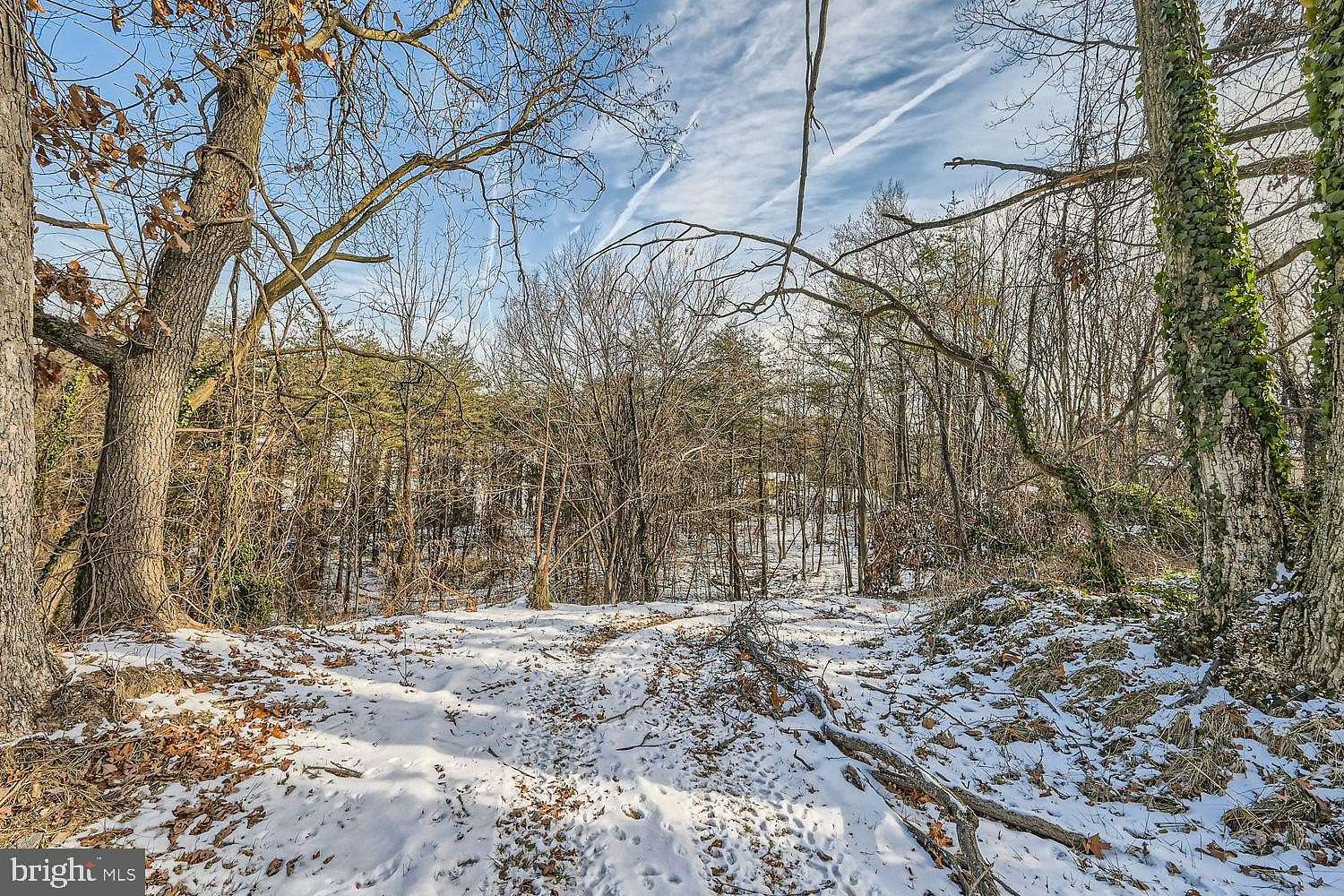 1.13 Acres of Residential Land for Sale in Baltimore, Maryland