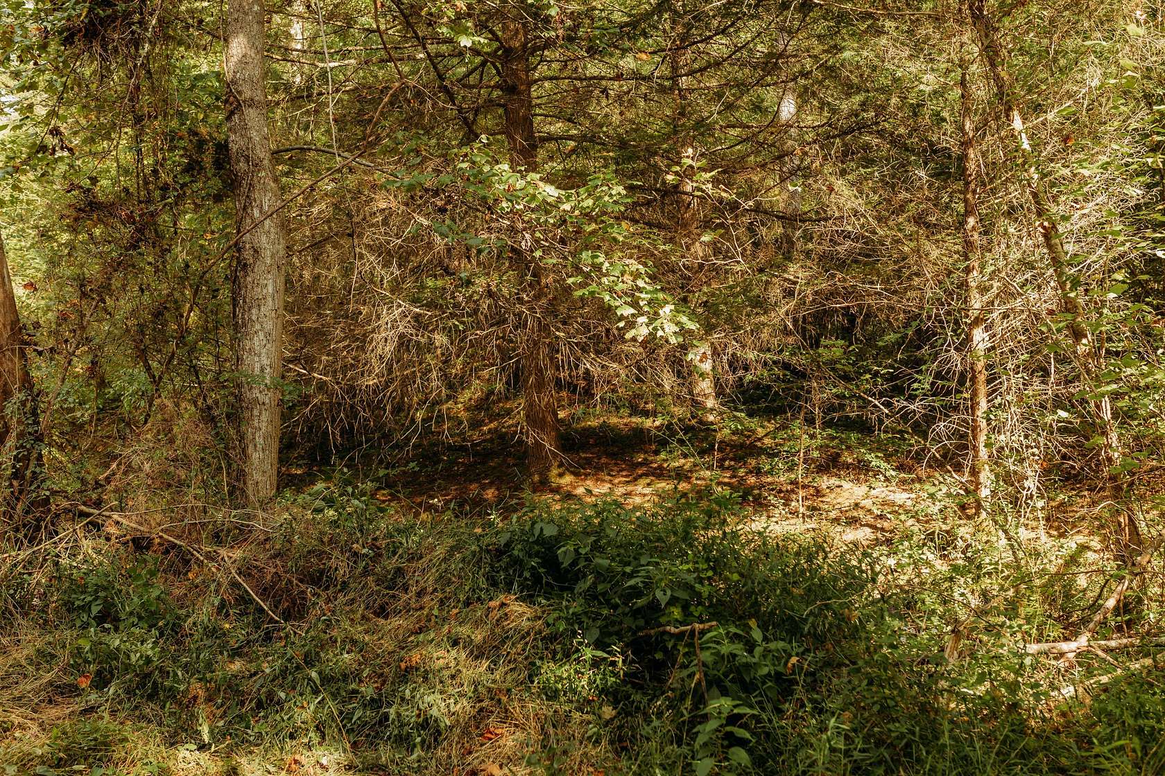 2 Acres of Land for Sale in Campton, Kentucky