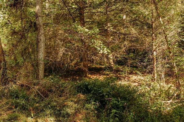 2 Acres of Land for Sale in Campton, Kentucky