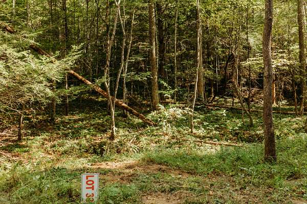 1.84 Acres of Land for Sale in Campton, Kentucky